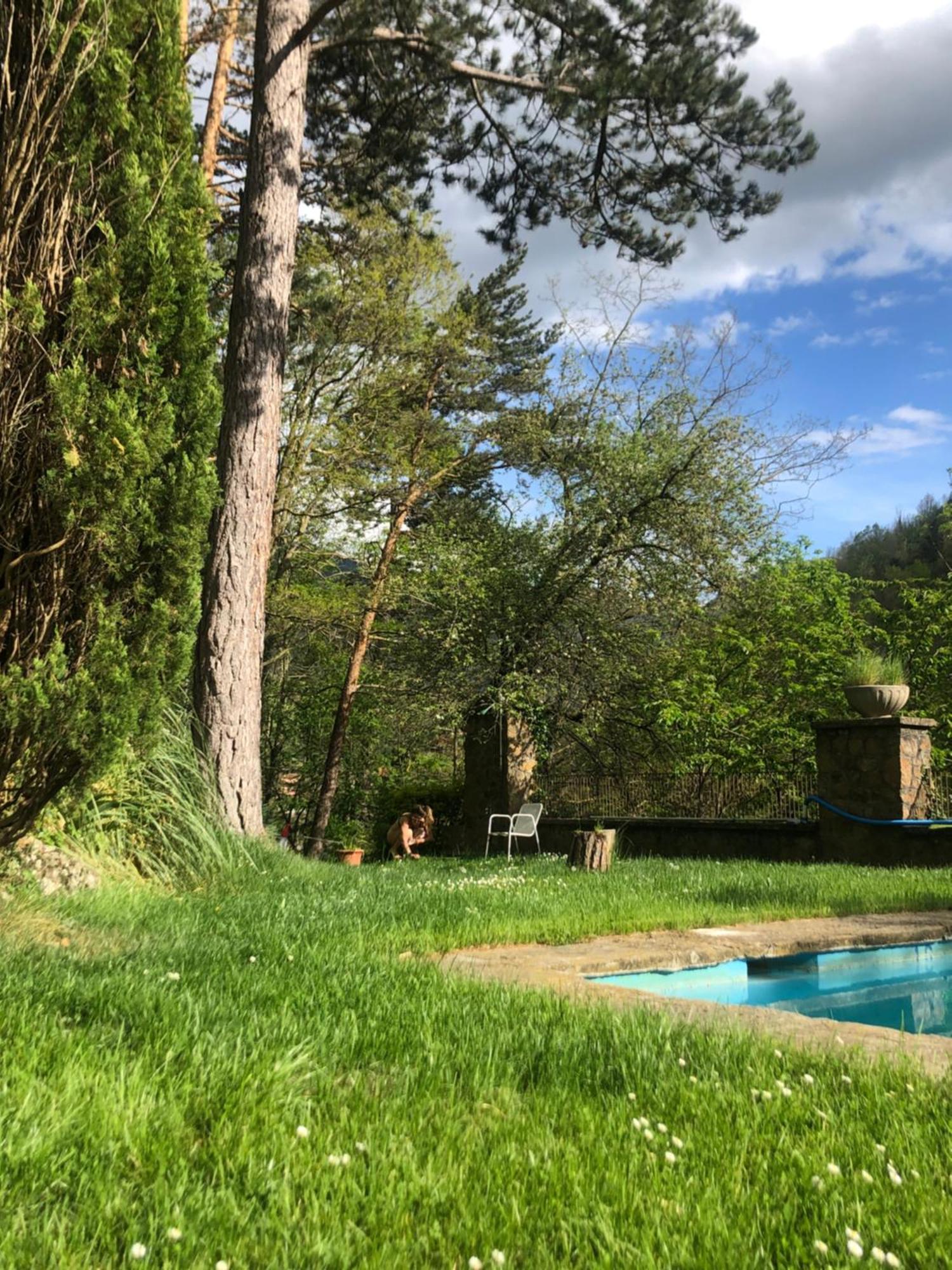Apartament Al Bosc I Bones Vistes Ribes De Freser Exterior foto